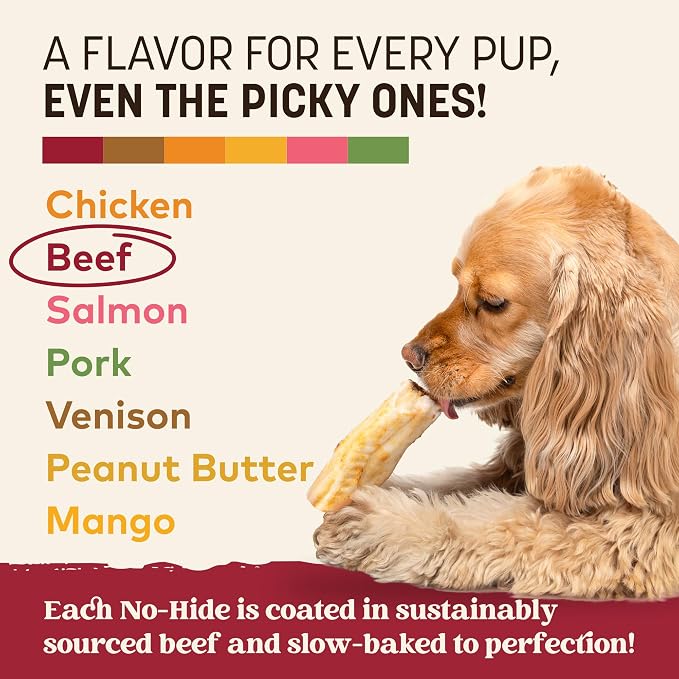 Earth Animal No Hide Dog Chews - Rawhide Free Small Rolls 6 Count Beef | Small Rolls Beef Flavored Natural Rawhide Free Long Lasting Dog Chews - Pet Treats for Small Dogs