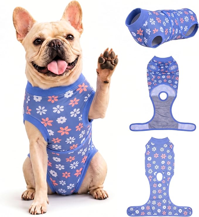 PetWarm Dog Surgical Recovery Suit, Dog Bodysuit for Sensitive Skin Areas, Surgical Suit for Dogs Abdominal Affected Areas Bandages, Substitute E-Collar and Cone, Flower Pattern, Blue, XS