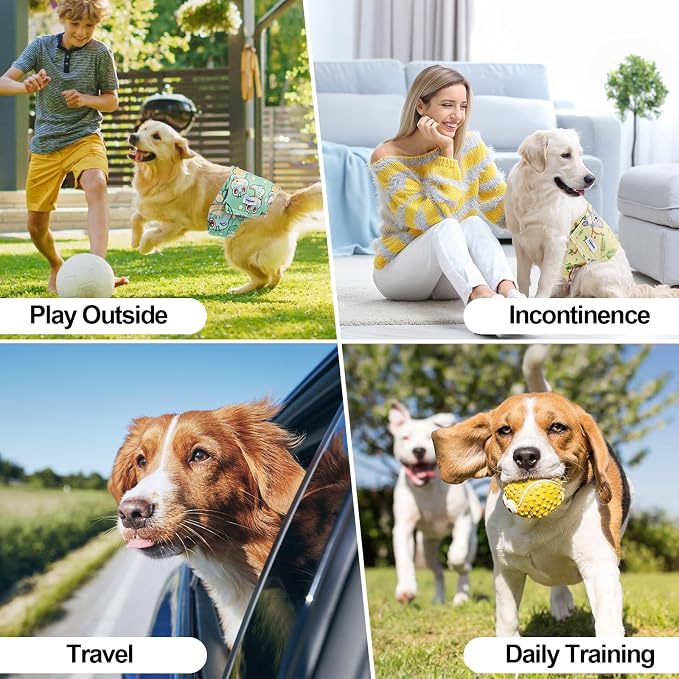 Washable Dog Diapers Male Reusable, Premium Belly Bands for Male Dogs Small, Pack of 3, High Absorbing Small Male Dog Pee Wraps for Doggie in Incontinence or Excitable Urination and Training(S)