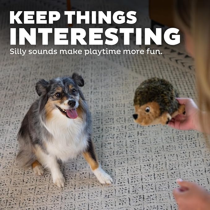 Outward Hound Hedgehogz Plush Dog Toy, Squeaks & Grunts, Medium, 9" x 6.5" | Soft Realistic Faux Fur, Round for Rolling & Chasing, Cuddle & Carry, Interactive Fetch, Light Chewers, Dogs & Puppies