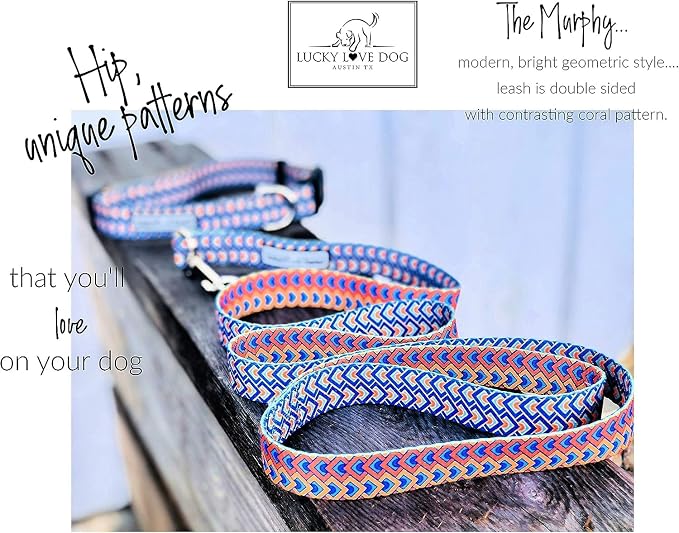 Lucky Love Dog Martingale Collar & Leash Set No Slip Cute – Murphy, Medium