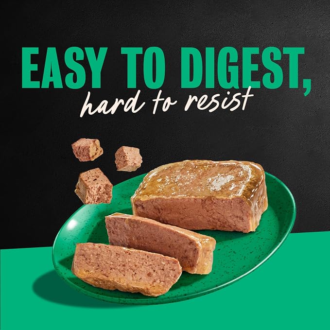 Cesar Classic Loaf in Sauce Wet Dog Food, Turkey Recipe, 3.5 oz, 24 Count | Made in USA, Real turkey #1 ingredient, no fillers, no added sugar, no artificial flavors, slow-cooked, easy peel trays
