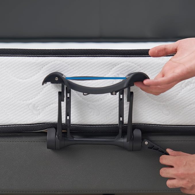 Master Massage Set Face Cradle, Cresent, Royal Blue