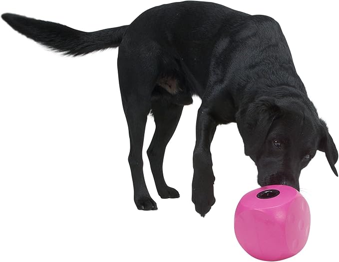 Kruuse Buster Cube Dog Toy – Large, Lime – Interactive Treat Dispensing Puzzle Feeder for Dogs – Durable, Mentally Stimulating Enrichment Toy for Slower Eating & Boredom Reduction