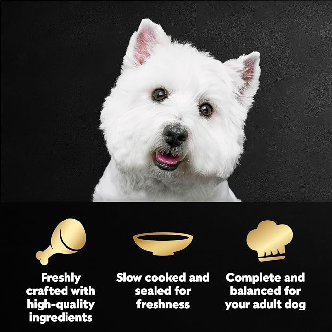 Cesar Mini-Pouch Wet Dog Food, Filet Variety Pack, 1.76 oz, 40 Count | 3 flavors: Rotisserie Chicken, Filet Mignon, Wood-Grilled Chicken, real chicken or beef, easy peel-and-serve, protein-packed