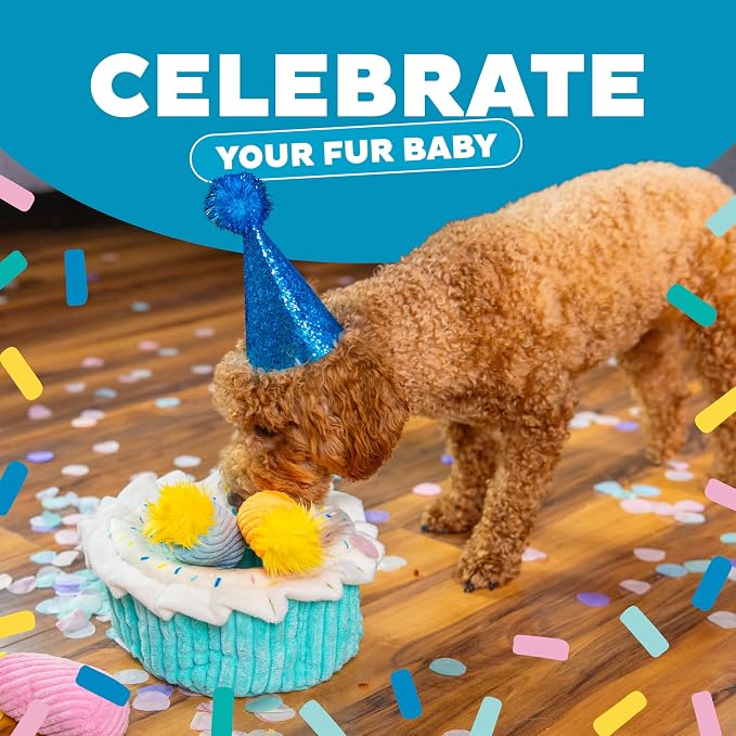 Outward Hound Hide-A-Birthday-Cake Plush Squeaky Dog Toy, 7.5" x 4.7" | Hide-n-Seek Puzzle, 3 Removable Candles, Toss & Fetch, Interactive Enrichment, Boredom Buster, Light Chewers, Dogs & Puppies