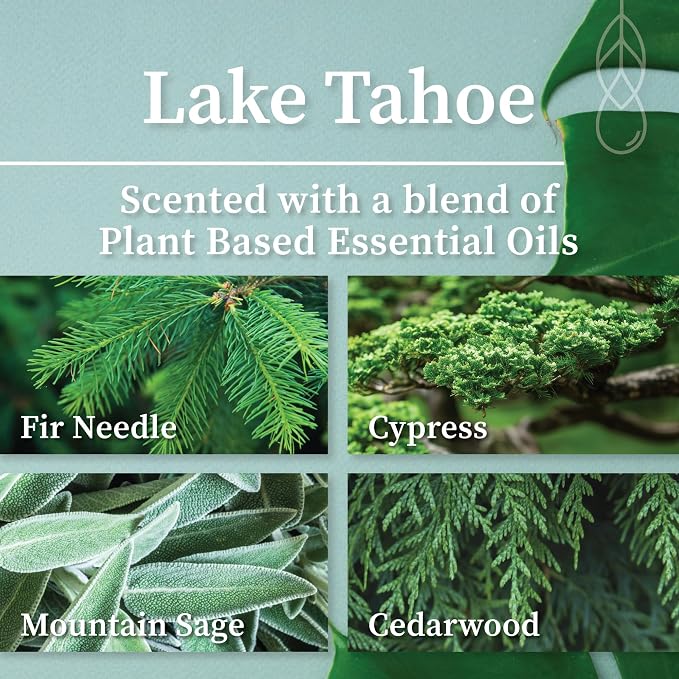 Hemlock Park Lake Tahoe Postcards Scented Candle | Crackling Wood Wick, Botanical Fragrance & Coconut Apricot Wax | Up to 50 Hour Burn Time | 7.2 oz | Made in USA