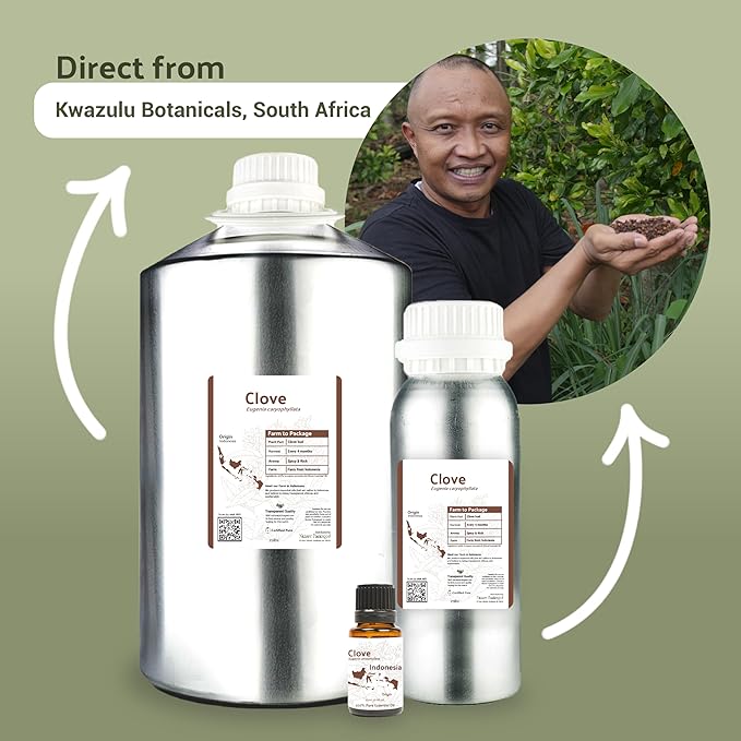 Clove Essential Oil - 100% Pure Steam Distilled Natural Aceite de Clavo from Indonesia for Aromatherapy & Wellness - Premium Grade (8oz)
