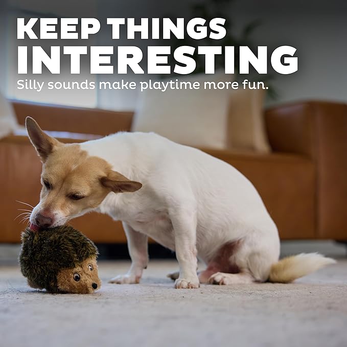 Outward Hound Hedgehogz Plush Dog Toy, Squeaks, Small, 6" x 4.5" | Soft Realistic Faux Fur, Round for Rolling & Chasing, Cuddle & Carry, Interactive Fetch, Light Chewers, Dogs & Puppies