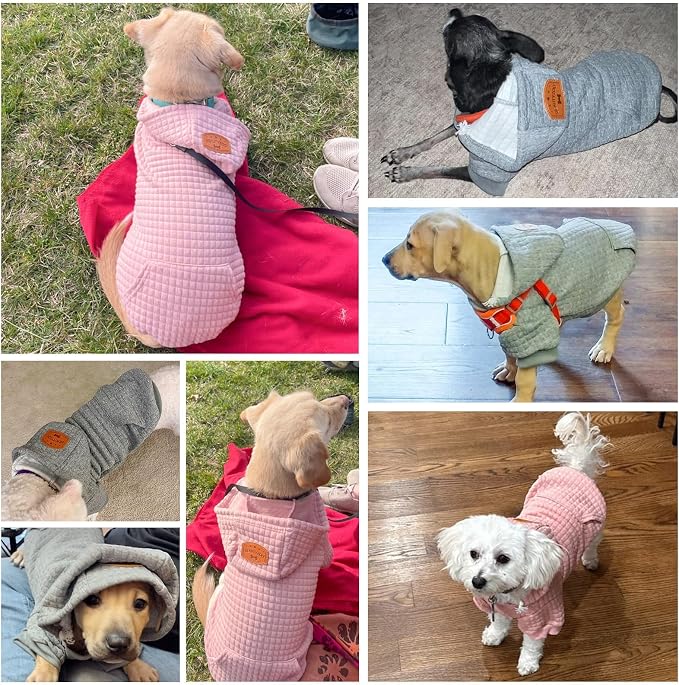 BEAUTYZOO Dog Hoodies Sweater for Small Dogs,Waffle‑Like Laminated Pet Coat | Warm Dog Sweatshirt with Pocket & Leash Hole,Pullover Clothes for Girl Boy Dogs & Cats,Stretchy & Easy‑On‑Off,Chihuahua Puppy