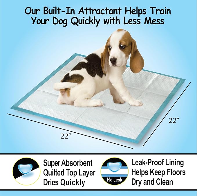 Scoochie Pets Large Dog Training Pads, 22 x 22, 12 Pack | Absorbent Sheets for Adult & Young Pets, Leak-Proof Pee Pads, Convenient Box, Ideal for Home & Travel