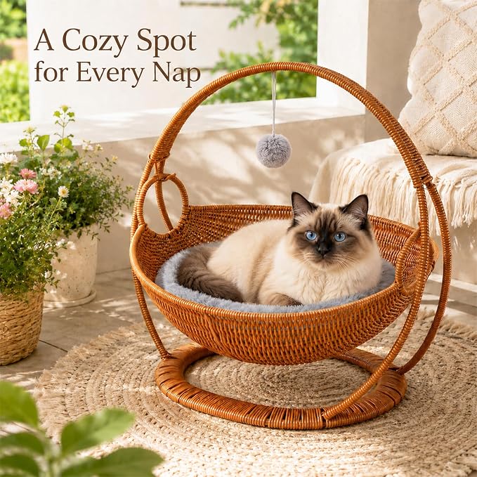 Wicker Cat Bed Elevated Cat Lounger Multifunctional Pet Furniture with Removable Cushion for Indoor Pets