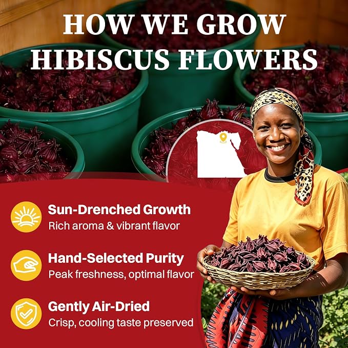 SKMTT Hibiscus Tea Bags, 60 Count, Hibiscus Flower Herbal Tea | 2g/Bag, Refreshing Tart Flavor, Caffeine-Free, Non-GMO