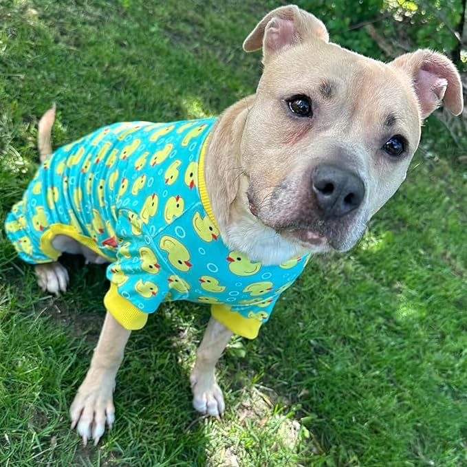 KYEESE Velvet Dog Pajamas for Medium Large Dogs Soft Onesie, Whale | 4-Way Stretch, Lightweight & Breathable, Reduces Shedding, Gentle on Sensitive Skin, Recovery Support, Easy Potty Breaks