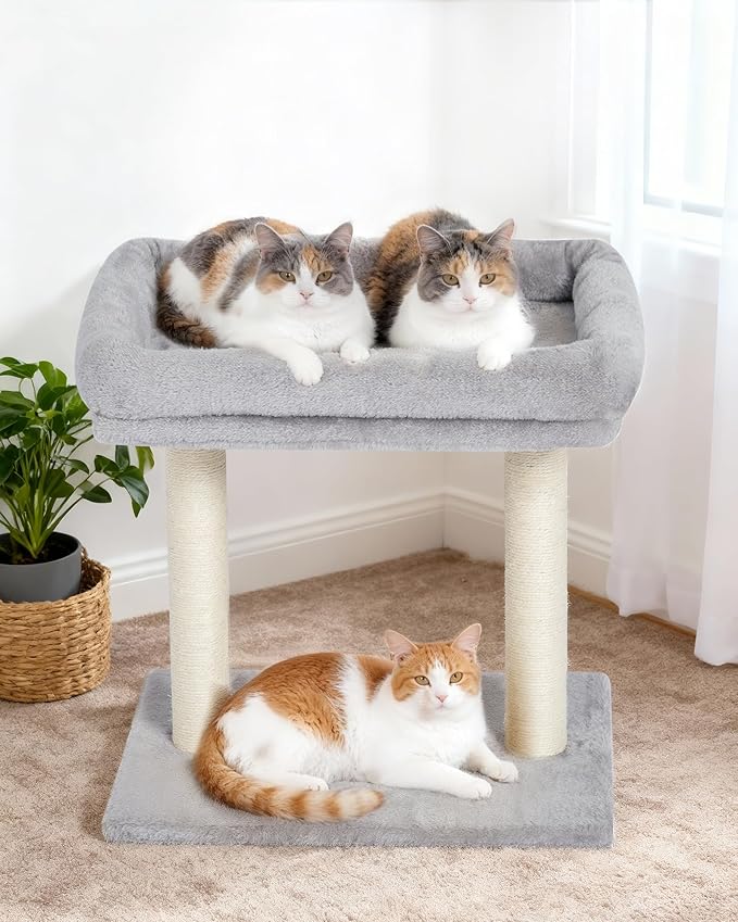 19" Small Cat Tree with Scratching Post for Indoor Cats with Perch | Light Gray, Removable 19"×15.8" Perch Bed, Dual Natural Sisal Scratcher,Small Cat Tower,Space-Saving