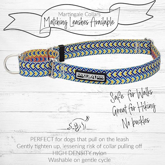 Lucky Love Dog Martingale Collar & Leash Set No Slip Cute – Murphy, Medium
