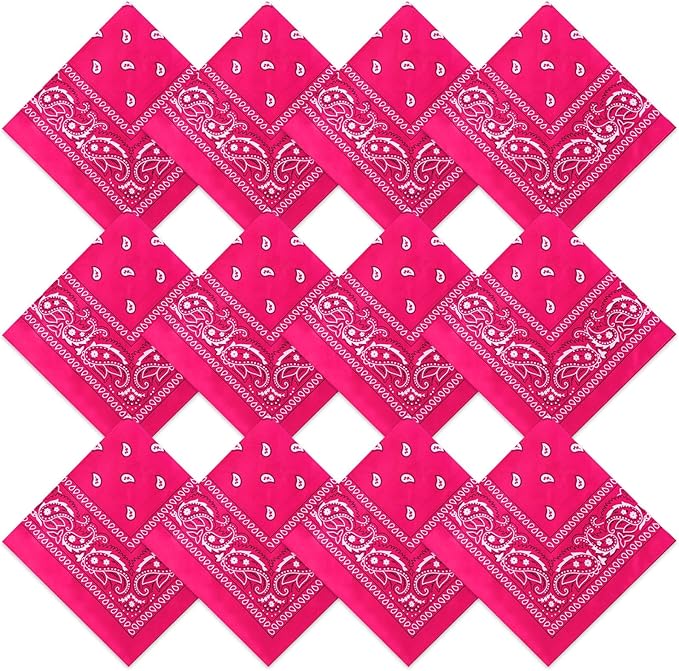 Suhine 12 Pcs Bandanas Bulk 22 x 22 Inch Paisley Headband Cowboy Handkerchief Christmas Thanksgiving Gift for Women Men