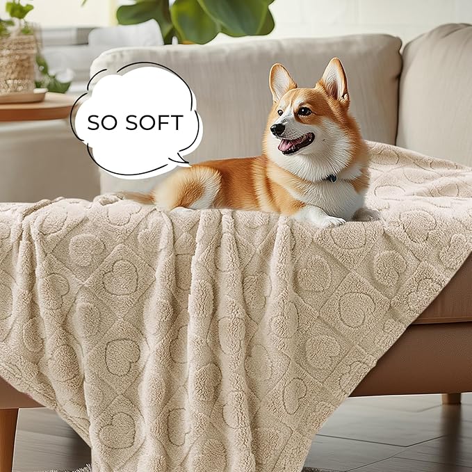 Luciphia Small Dog Blanket Washable Pet Bed Cover Soft Fluffy Puppy Blanket with Premium Fleece 300GSM Cozy Calming Cat Blankets for Indoor Cats Beige 30x20 inch | Pink Blanket Washable for Medium/Large Dogs, Cute Cover on Bed Couch Crate Car, Puppy Es...
