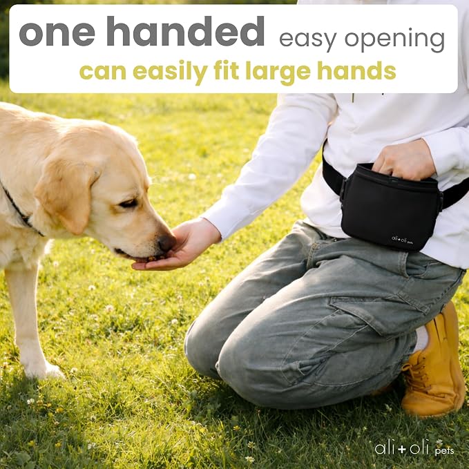 Ali+Oli Pets Dog Treat Pouch for Training, Silicone, 2 Cup Capacity