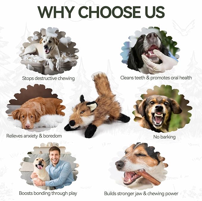 ALL FOR PAWS Squeaky Doy Toy, Fox Dog Toy for Small Medium Breed, Puppy Fetch Toy with Squeaker, Plush Chew Dog Toy, Classic S
