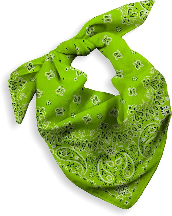Gift Packaging Bandana for Men Women - 100% Cotton, Paisley, 22x22 In, 1 Pack - Large Bandanna Handkerchief Cowboy Hanky