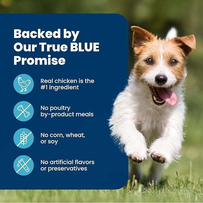 Blue Buffalo Life Protection Formula Healthy Weight Small Dog Food, 15 lb | Real Chicken #1 Ingredient, Promotes Lean Muscles & Weight Control in Small Breed Dogs, Antioxidant-Rich LifeSource Bits