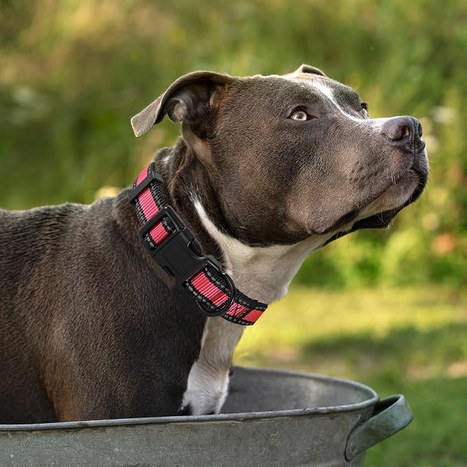 Mile High Life Reflective Dog Collar, Adjustable Lightweight Quick Release