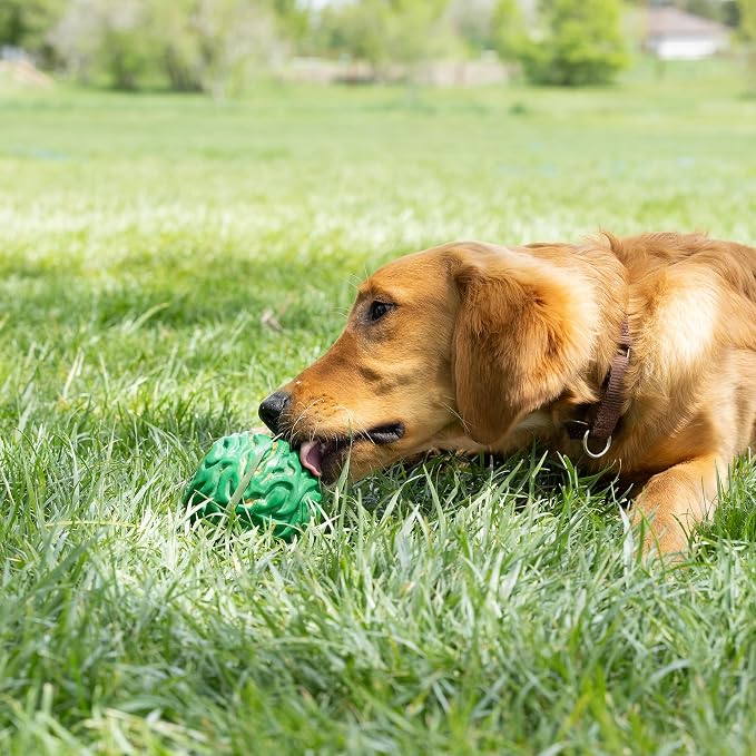PetKORE Luna Ball - 4" Large, Green, Dog & Puppy Toy, Flexible Rubber, Teething & Chewing, Tactile Surface, Bounce & Fetch, Pet Indoor-Outdoor Play