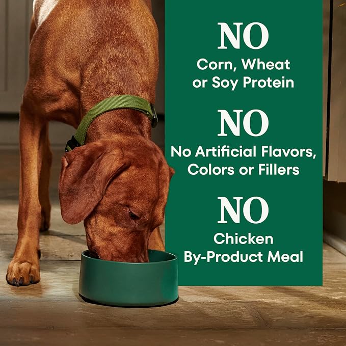 Nutro Natural Choice Large Breed Adult Dry Dog Food, Lamb & Rice, 30 lb | Real lamb #1 ingredient, non-GMO, no corn, wheat, soy, crafted in USA, supports joints, digestion, immunity, skin & coat