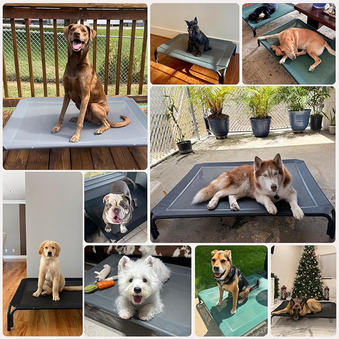 Elevated Dog Bed Outdoor Cooling Raised Cot for XL Dogs, Gray 48.8in | Tool-Free Installation; Washable Cooling Breathable Mesh; Anti-Slip Feet; Indoor & Outdoor Use
