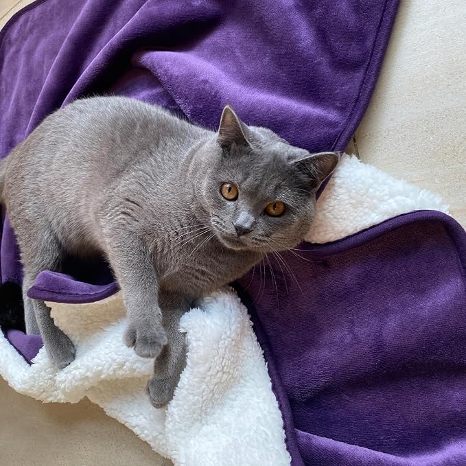 Soft Waterproof Blanket for Bed Couch Sofa, Dark Purple, 30x40inches | Liquid Pee Proof Pet Blanket for Dog Puppy Cat, Reversible Sherpa Fleece Blanket for Couch Cover, Furniture Protector