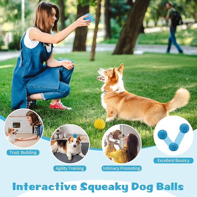 HIPPIH Indestructible Squeaky Dog Toys, Interactive Dog Balls 2 Pack