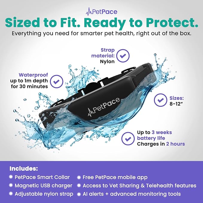 New PetPace V3.0 Cat Health Monitor by PetPace – AI Health Collar with 24/7 Vital Signs Alerts, GPS, Telehealth Consults, AskaVet & Share with Your Vet & SmartWatch Sync – Subscription Required