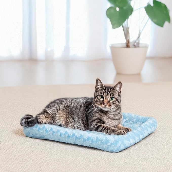 MidWest Homes for Pets QuietTime Fashion XXS Dog Bed - Blue Faux Fur Bolster, Ultra-Soft and Machine Washable, Fits 18-Inch Crates and Carriers, for Small Dogs and Cats