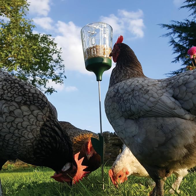 Omlet Poppy Chicken Peck Toy | Interactive Foraging & Pecking Enrichment Toy for Hens | Slow-Feed Treat Dispenser | Reduces Boredom & Feather Pecking | 300g Feed Capacity | 2 Designs