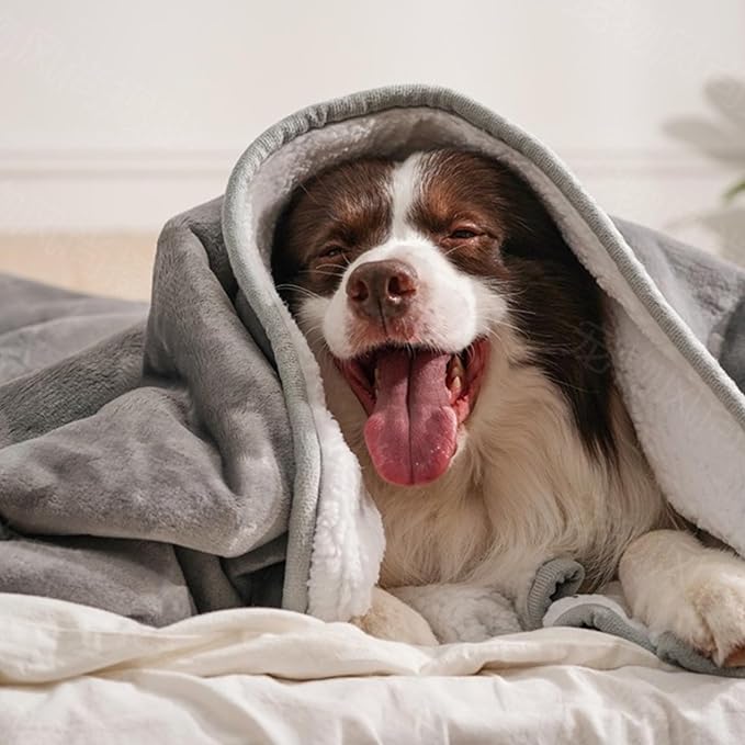 gogobunny Waterproof Blanket for Twin Bed, Warm Sherpa Fleece Throw, 60x80 | Reversible Dog Blanket for Large Dogs, Leak-proof and Stain-proof Furniture Protector, Washable, Noise Free, Grey
