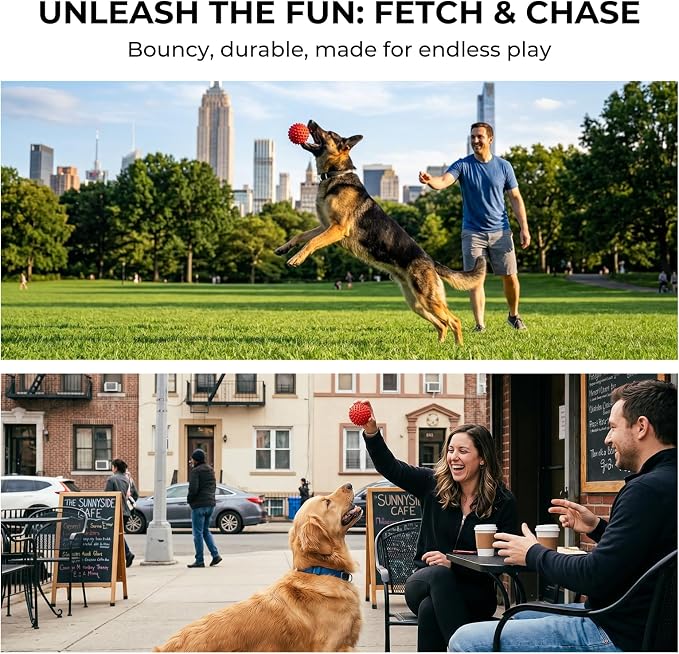 Beef-Flavored 3.5'' Tough Squeaky Ball for Dogs, 25-80lbs Pack of 2