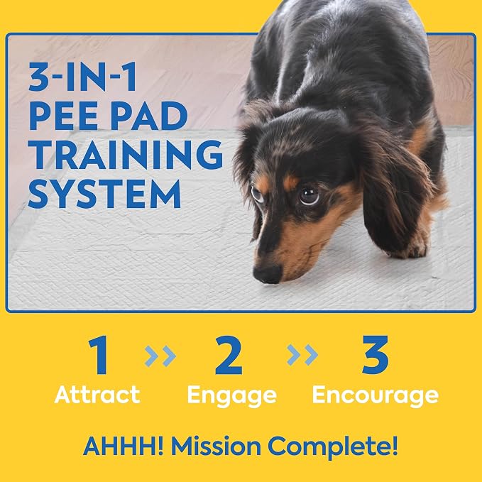 OUT! PetCare XXL Puppy Pads, Heavy Duty Pee Pads for Dogs, 26x30, 30 Count | Dog Pee Pads, Leak Proof, Potty Training, Housebreaking, Heavy Duty, Dog Training Pads, Extra Large, Puppy Essentials