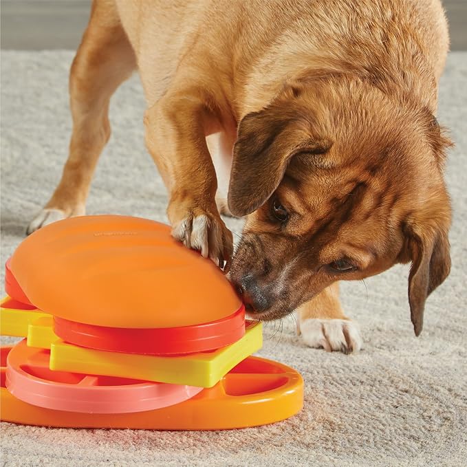 Learning Resources Brightkins Pupstrami Surprise! Treat Puzzle - Interactive Dog Toys, Dog Toys for Large Dogs, Puppy Treat Toy, Cat Puzzle Feeder, Mental Stimulation for Dogs, Enrichment Feeder