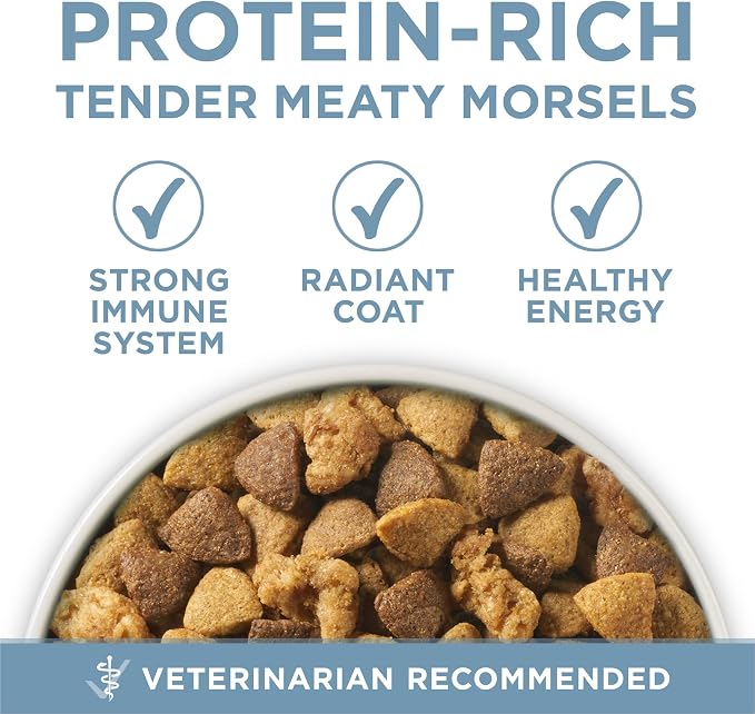 Purina ONE Plus Joint Health Dry Dog Food, Chicken, 31.1 lb Bag