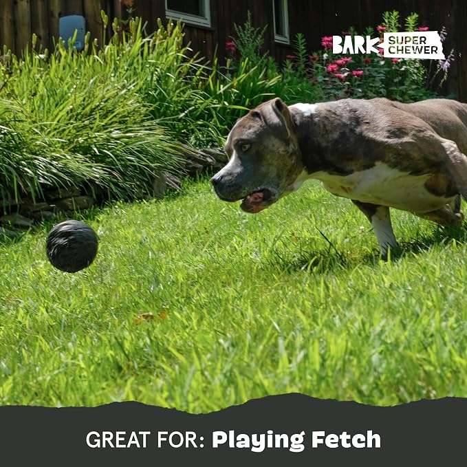 BarkBox Comet Super Chewer - Toy for Small Dogs