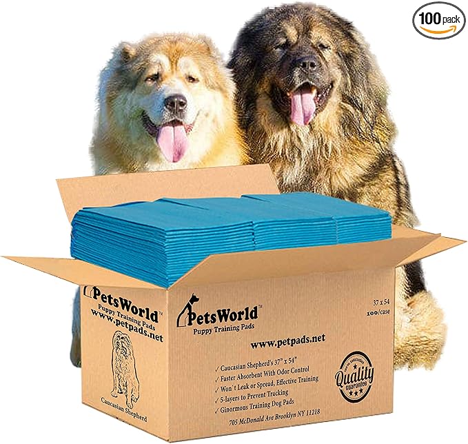 PetsWorld Enormous Dog Pee Pads 37"x54" 100 Count – XXXL Pet Pee Pads for Giant Dogs & Pets, Heavy Duty Leak-Proof Dog Training Pads, Super Absorbent Quick-Dry Potty Pads with Adhesive Tabs