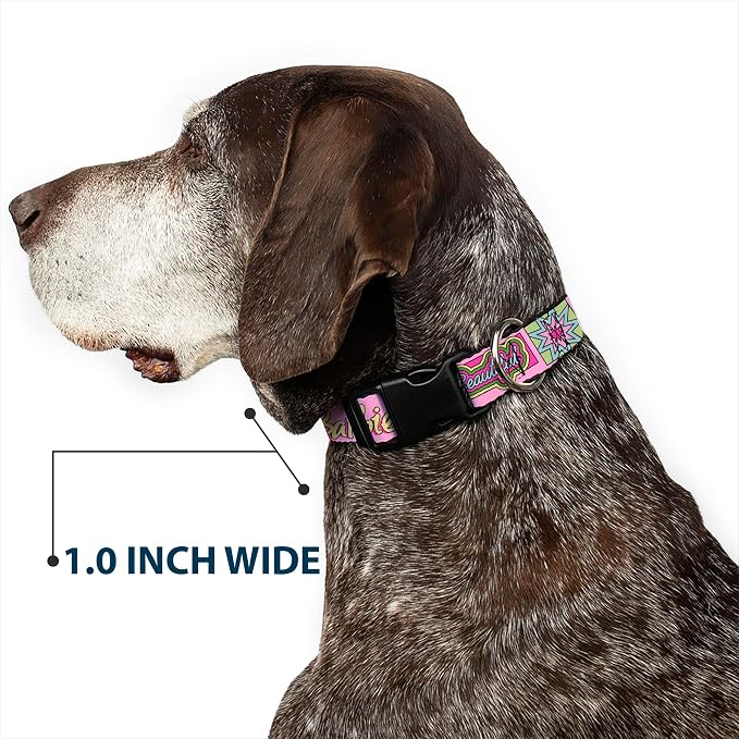 Barbie Plastic Clip Dog Collar
