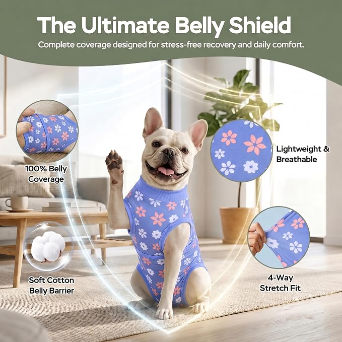 PetWarm Dog Surgical Recovery Suit, Dog Bodysuit for Sensitive Skin Areas, Surgical Suit for Dogs Abdominal Affected Areas Bandages, Substitute E-Collar and Cone, Flower Pattern, Blue, XS