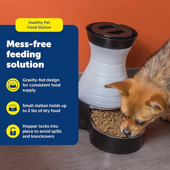 PetSafe Healthy Pet Food Station - Automatic Indoor Gravity Cat & Dog Feeder - Space-Saving Self Feeder - Easy to Clean - Small - Up to 2 lb Kibble Capacity (Pack of 2)