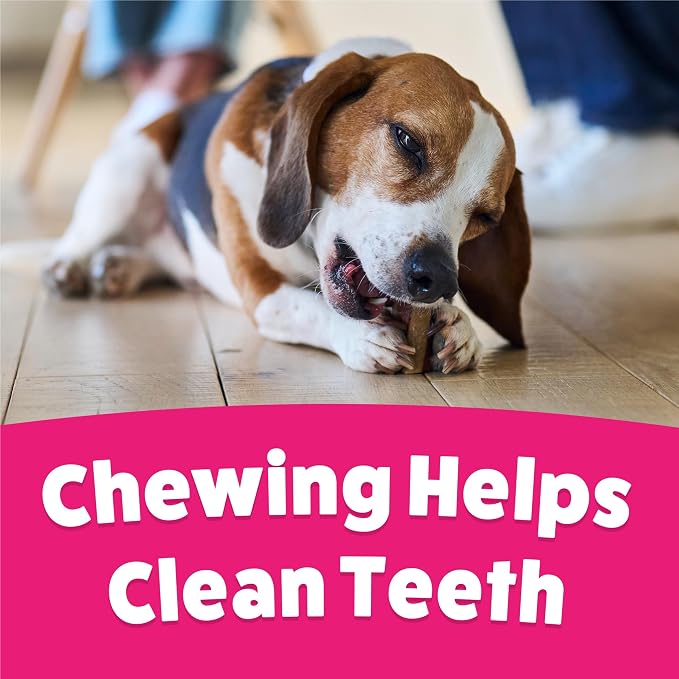 Purina Busy Bone Adult Small Dog Chew Treats, Original, (8) 4 ct Pouches | Rawhide free chew with a real meat center for small dogs up to 35 lbs, long lasting chew that helps clean teeth