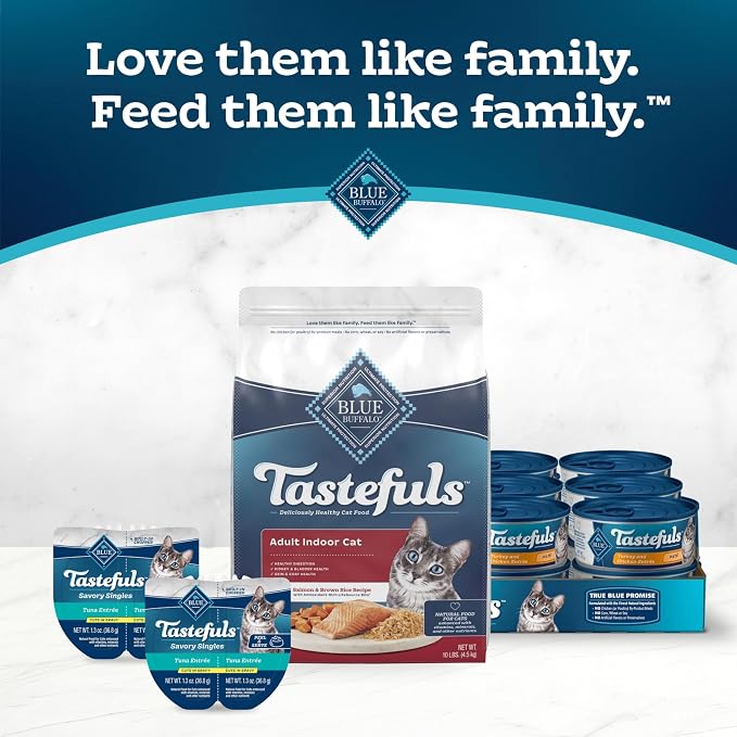 Blue Buffalo Tastefuls Salmon Adult Indoor Dry Cat Food, 10 lb | Salmon & Brown Rice Recipe, Kidney & Bladder Health, Antioxidant-Rich LifeSource Bits