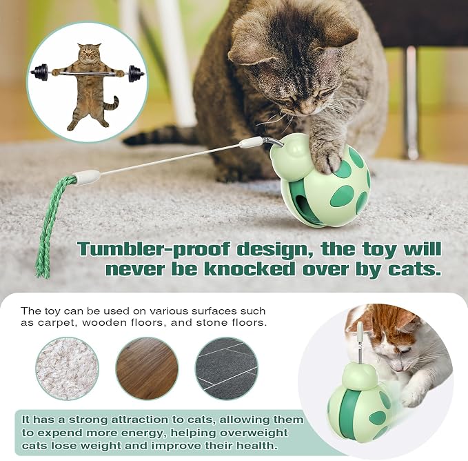 Cat Interactive Toy Treat Dispenser Cat Tumbler Toy with Teaser Wand Cat Toy Bowl Slow Feeder