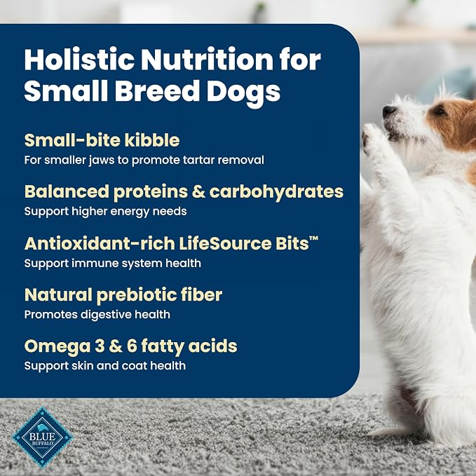 Blue Buffalo Life Protection Formula Lamb Small Breed Dry Dog Food, 15 lb | Real Lamb #1 Ingredient, Antioxidant-Rich LifeSource Bits, Supports Higher Energy Needs, Formulated for Small Breed Dogs