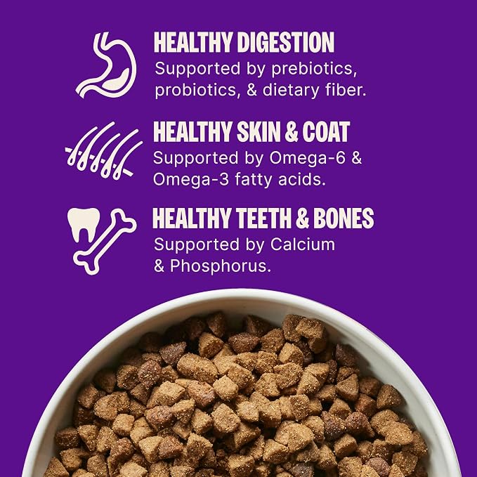 Wellness Complete Health Adult Dry Dog Food, Wholesome Grain Kibble, Natural, Lamb and Barley Recipe, 5 lb Bag